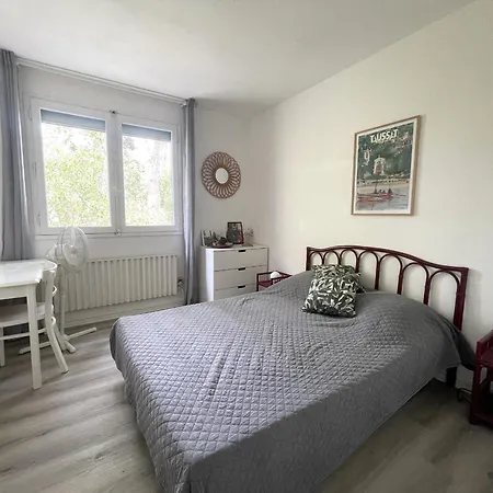Maison Familiale A : 3 Chambres, Jardin Sous Les Pins, Wifi Fibre, Proche Et Centre - Fr-1-420-145 Ferienhaus