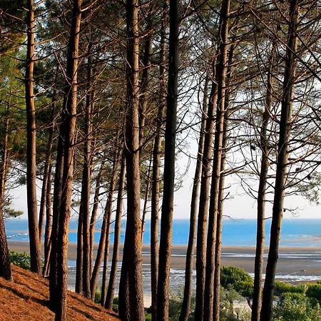 Maison Familiale A : 3 Chambres, Jardin Sous Les Pins, Wifi Fibre, Proche Et Centre - Fr-1-420-145 * Αρασόν