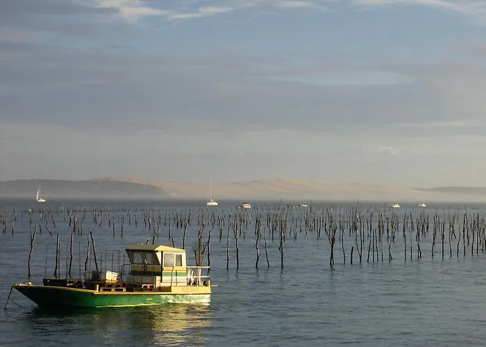 Maison Familiale A : 3 Chambres, Jardin Sous Les Pins, Wifi Fibre, Proche Et Centre - Fr-1-420-145 Semesterbostad Arcachon